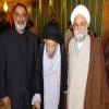 دیدار علامه سید مرتضی عسکری