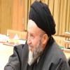 دیدار آیت الله حاج سید حسن فقیه امامی