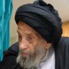 دیدار علامه سید مرتضی عسکری