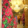 جشن کوثر ولایت