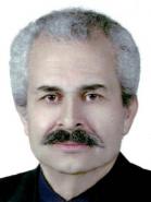 پروفسور استاد حسین نجارزادگان پروفسور تعمیرات آثار تاریخی